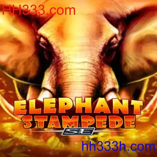 ElephantStampedeSE